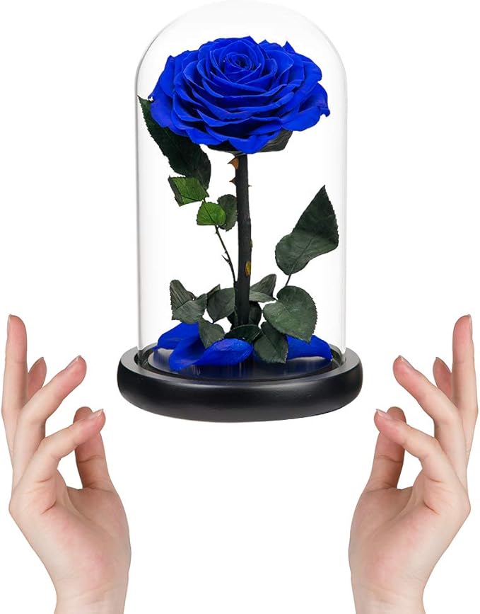 Premium Preserved Roses Royal Blue Roses in Glass Dome