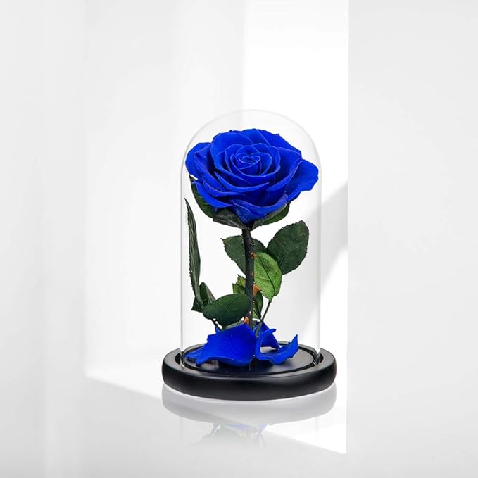Premium Preserved Roses Royal Blue Roses in Glass Dome