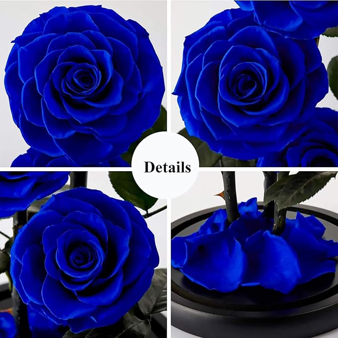 Premium Preserved Roses Royal Blue Roses in Glass Dome