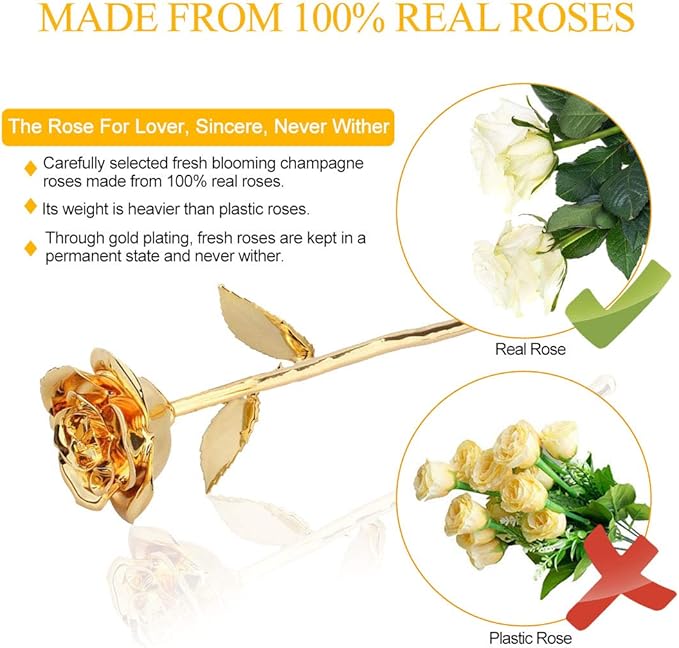 24K GOLD ROSES