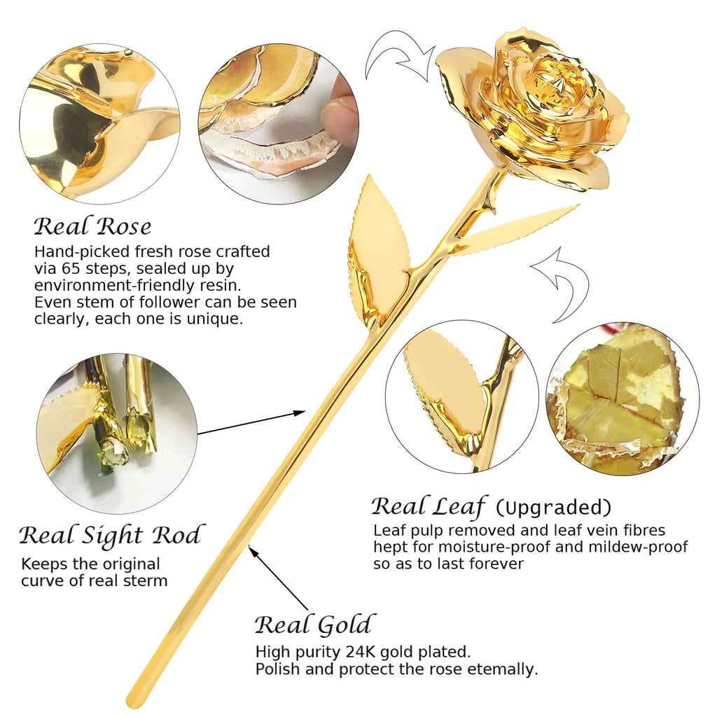 24K GOLD ROSES